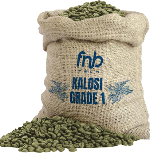 Arabica Kalosi Green Coffee Beans