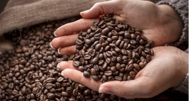 A Guide to Buying Green Coffee Beans in Bulk