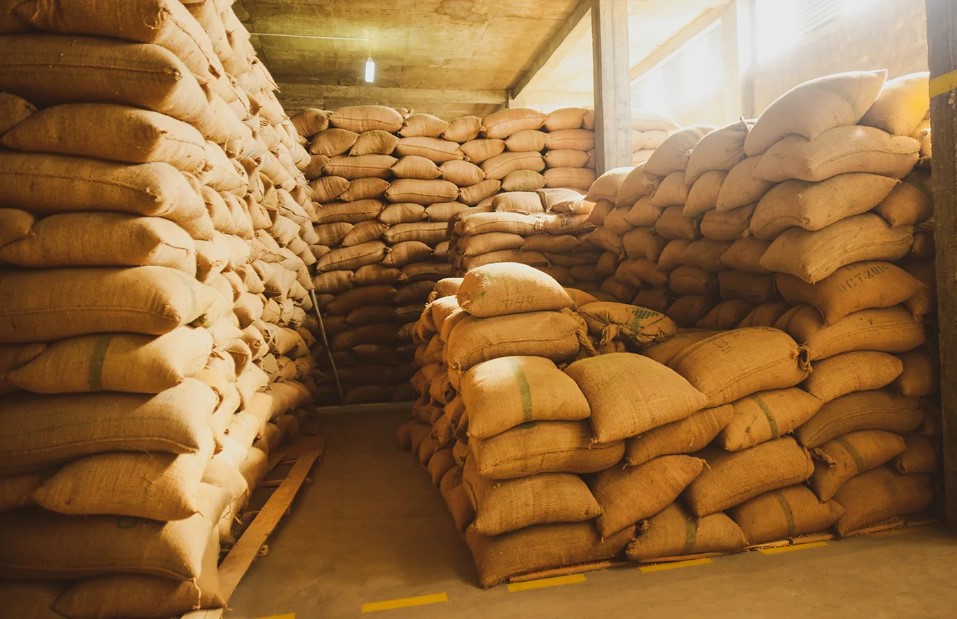 Importing specialty coffee from Indonesia