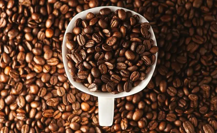 Premium Arabica Coffee Powder: Elevate Your Daily Brew
