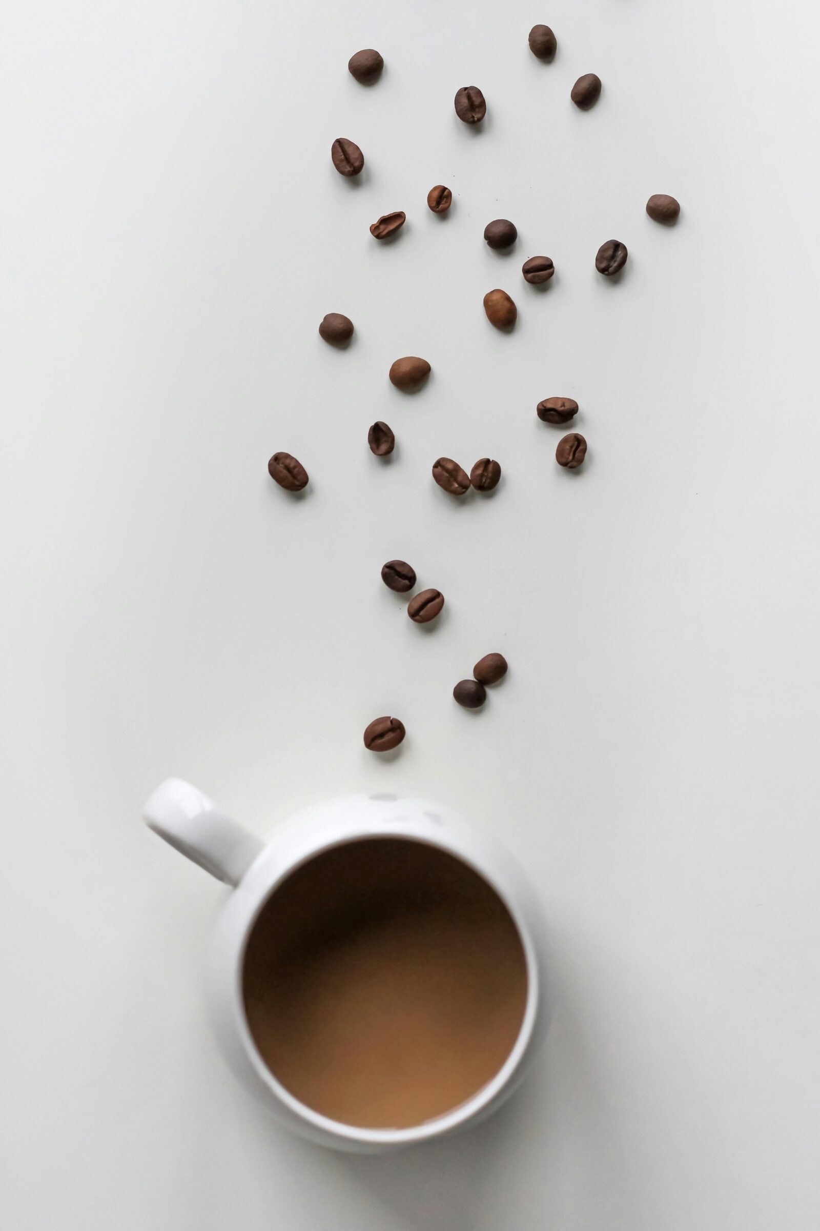 Sumatra Coffee Beans 1