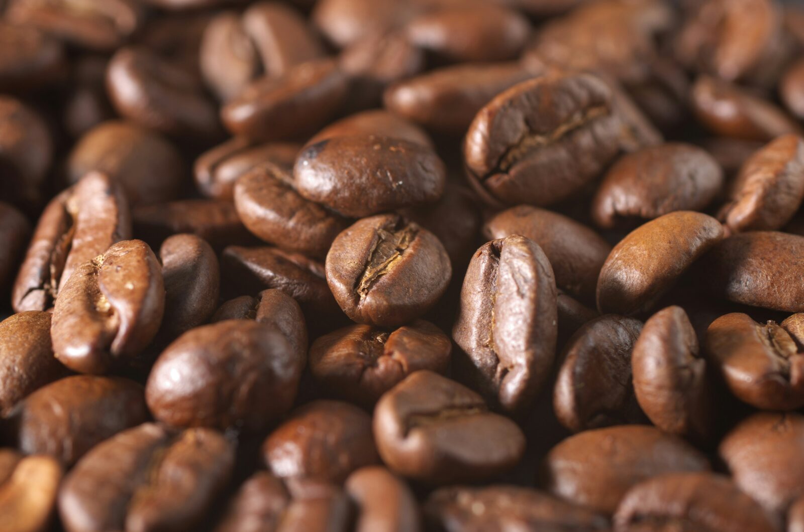 Coffee Bean Manufacturers