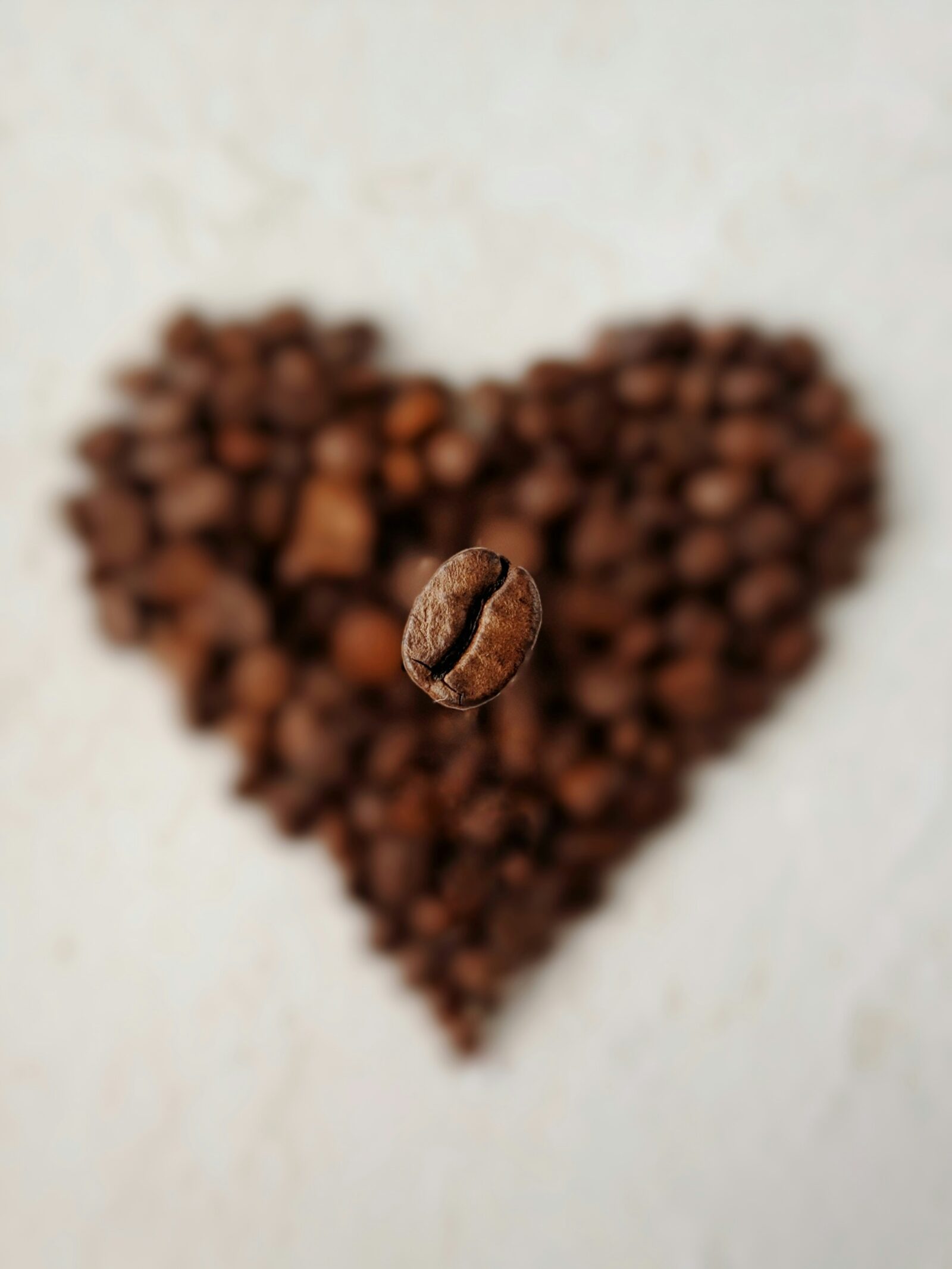 List of Coffee Beans