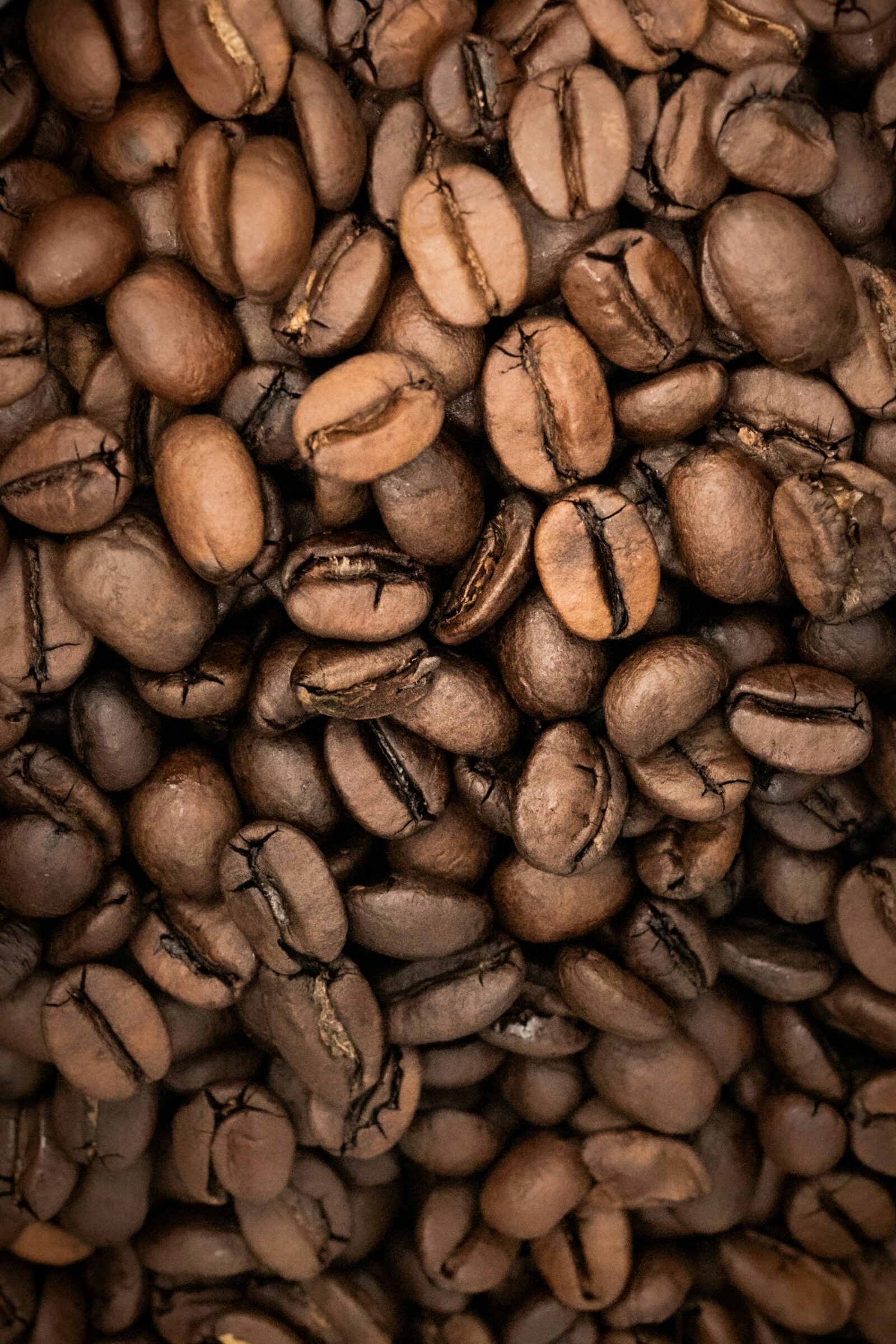 Past Crop Coffee