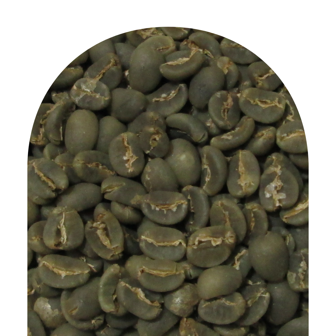 Sumatra Arabica Green Coffee Beans