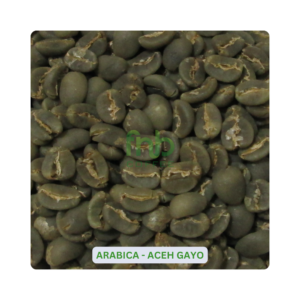 Sumatra Arabica - Aceh Gayo Green Coffee Beans