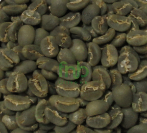 Sumatra Arabica - Aceh Gayo Green Coffee Beans