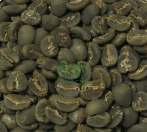 Sumatra Arabica - Aceh Gayo Green Coffee Beans