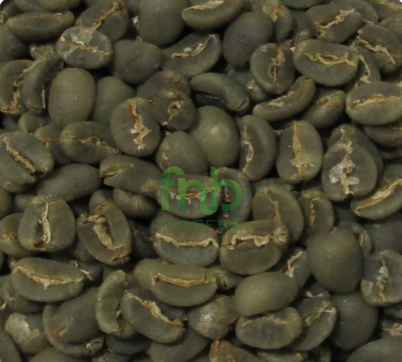 Sumatra Arabica - Aceh Gayo Green Coffee Beans