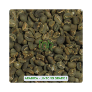 Sumatra Arabica Lintong Green Coffee Beans