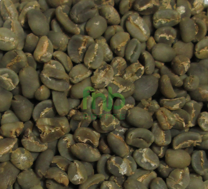 Sumatra Arabica Lintong Green Coffee Beans