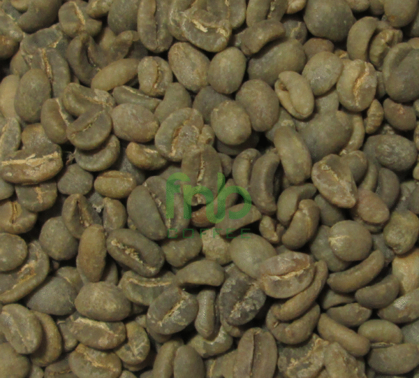Sumatra Arabica - Luwak Liar (Wild Civet) Green Coffee Beans