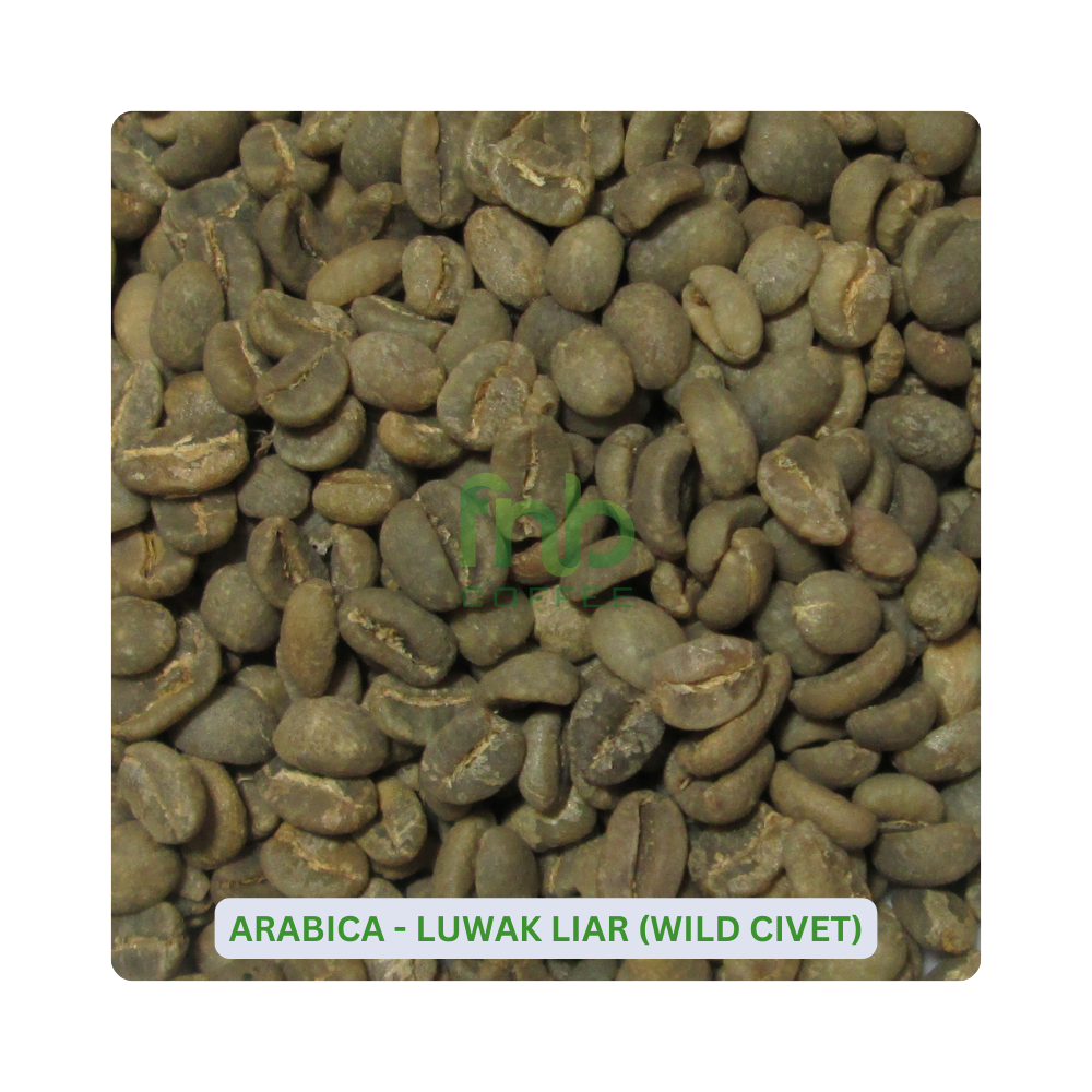 Sumatra Arábica - Luwak Liar (Civeta selvagem) Café verde em grão