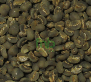 Sumatra Arabica - Mandheling High Grade Green Coffee Beans