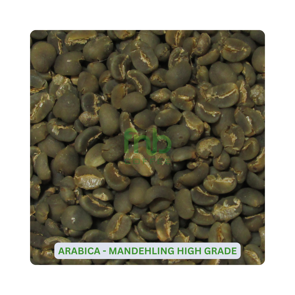 Sumatra Arabica - Mandheling Café vert en grains de qualité supérieure