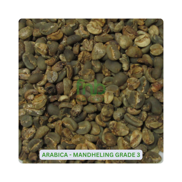 Sumatra Arabica - Mandheling Grade 3 Green Coffee Beans