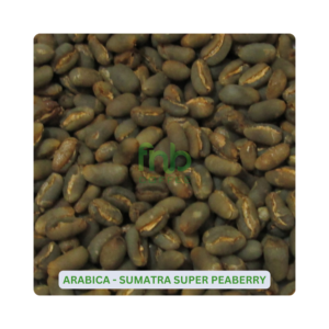 Arabica Sumatra Super Peaberry Coffee Beans