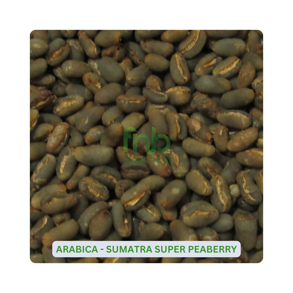 Biji Kopi Arabika Sumatra Super Peaberry