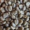 Gayo Full Wash