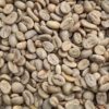 Kopi Luwak Coffee