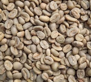Café Kopi Luwak