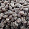 Gayo Red Bourbon