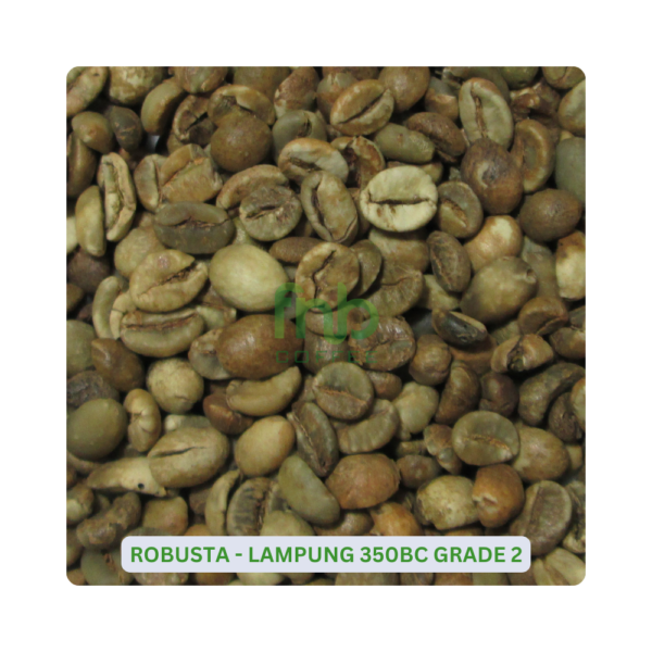 Sumatra Robusta - Lampung 350BC Grade 2 Green Coffee Beans