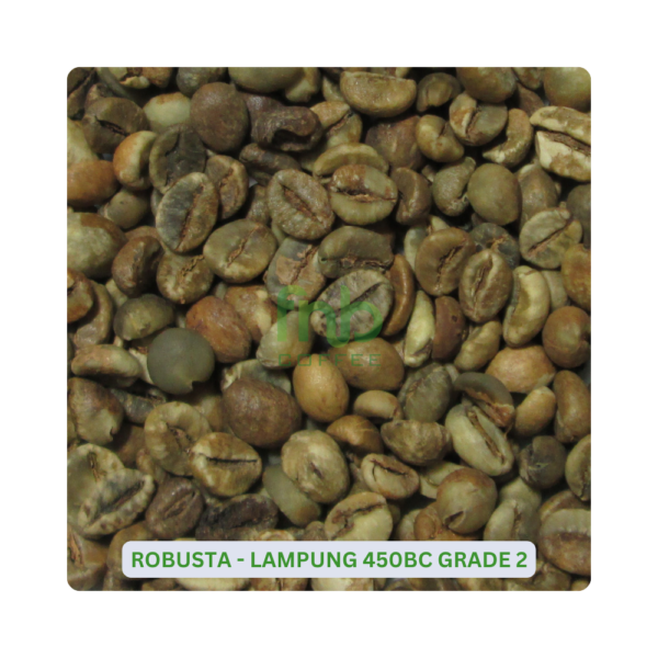 Sumatra Robusta - Lampung 450BC Grade 2 Green Coffee Beans