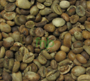 Sumatra Robusta - Lampung Grade 2 Green Coffee Beans