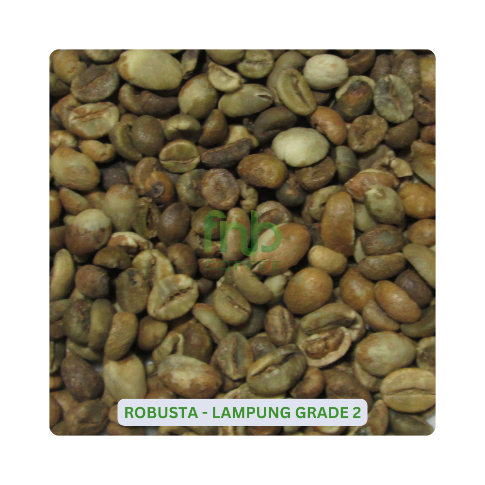 Sumatra Robusta - Lampung Grade 2 Green Coffee Beans