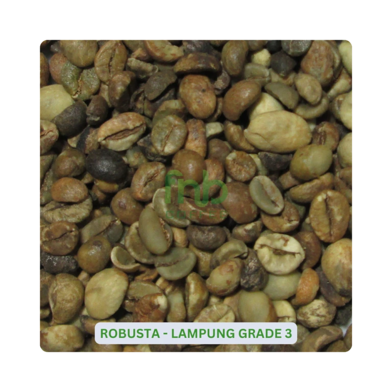 Robusta-Lampung-Grade-3