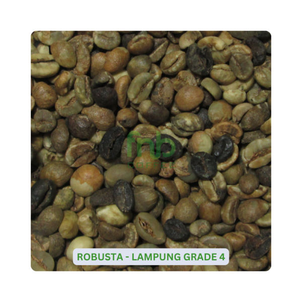 Sumatra Robusta - Lampung Grade 4 Green Coffee Beans