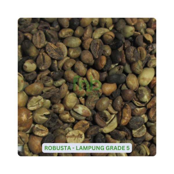 Sumatra Robusta - Lampung Grade 5 Green Coffee Beans