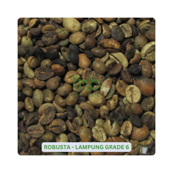 Sumatra Robusta - Lampung Grade 6 Green Coffee Beans