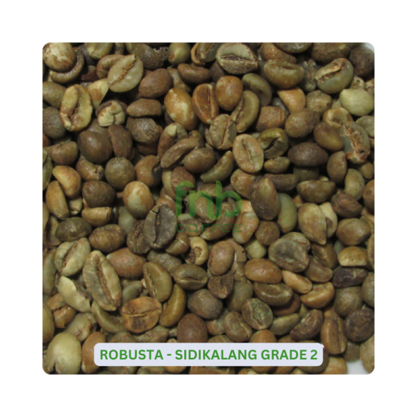 Sumatra Robusta - Sidikalang Grade 2 Green Coffee Beans