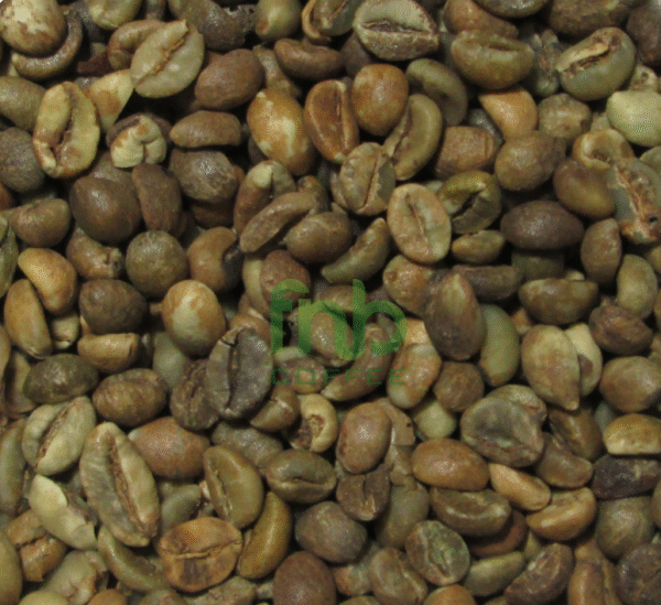 Sumatra Robusta - Sidikalang Grade 2 Green Coffee Beans