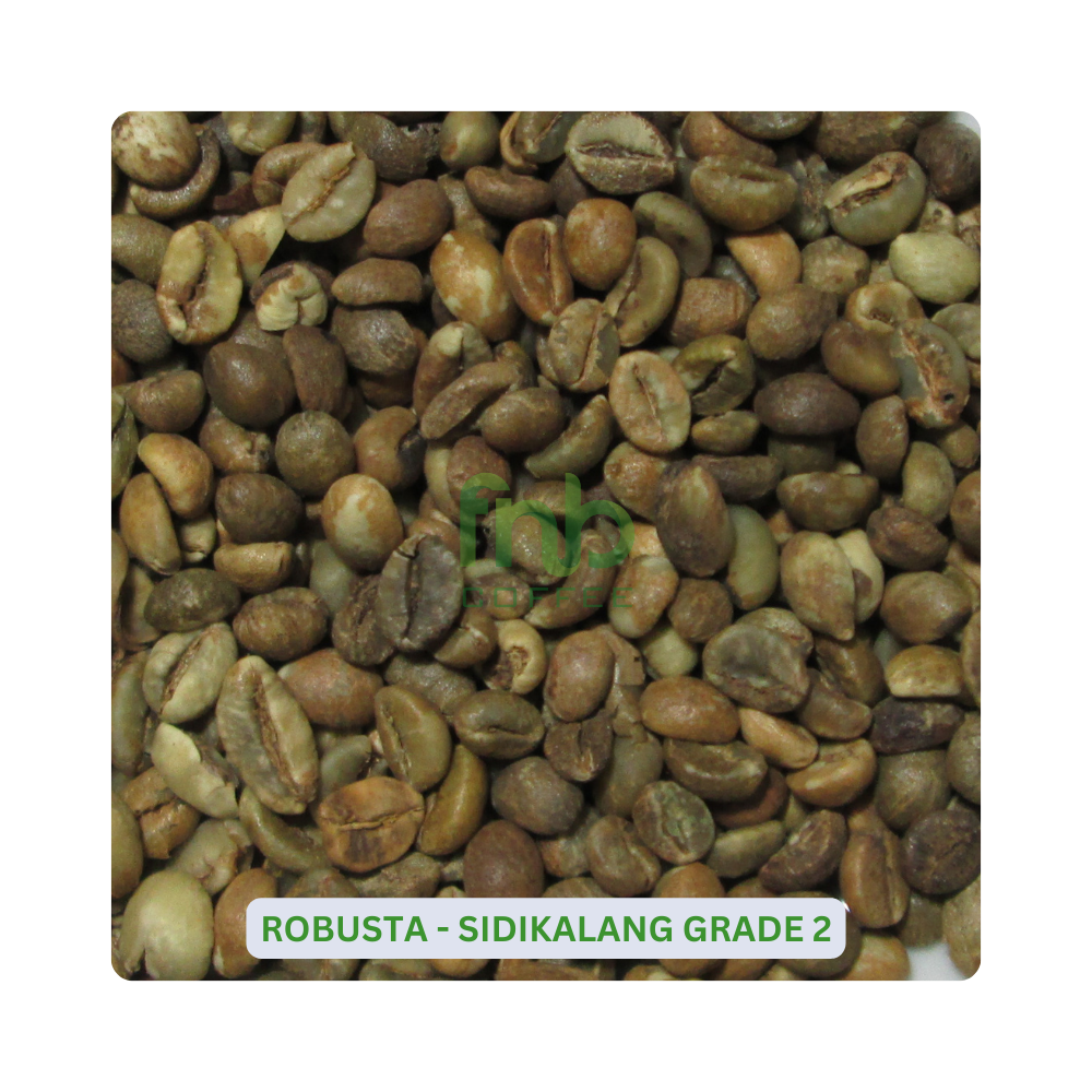 Sumatra Robusta - Sidikalang Grade 2 Green Coffee Beans