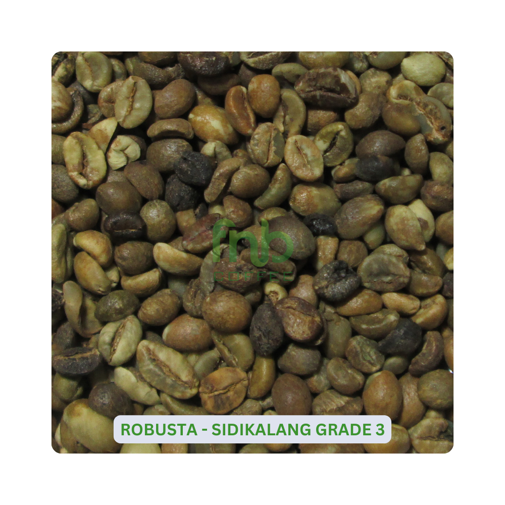 Sumatra Robusta - Sidikalang Grade 3 Green Coffee Beans