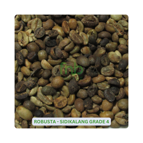 Sumatra Robusta - Sidikalang Grade 4 Green Coffee Beans