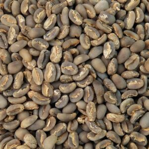 PEABERRY NEW
