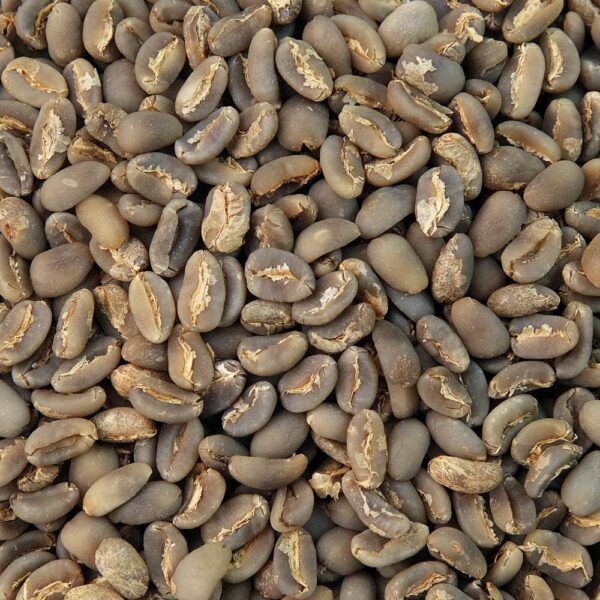 PEABERRY NEW
