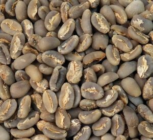 PEABERRY NEW