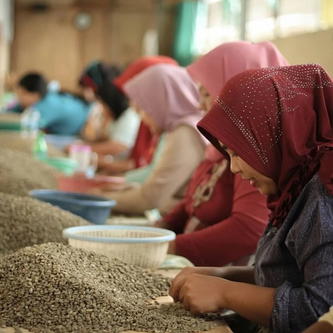 Aceh Gayo Coffee