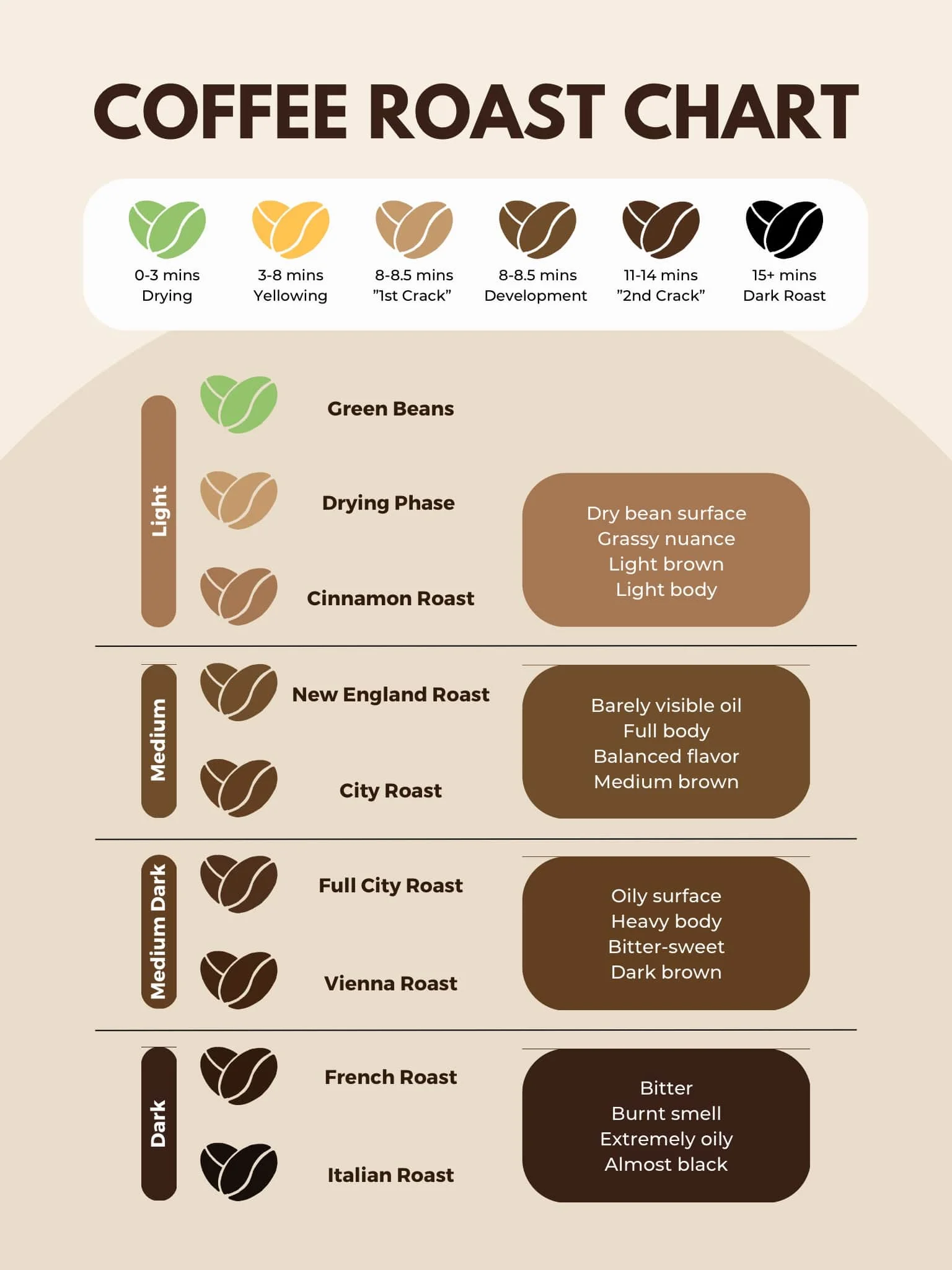 Be the Master! 4 Coffee Roasting Levels Chart with Image & Guide