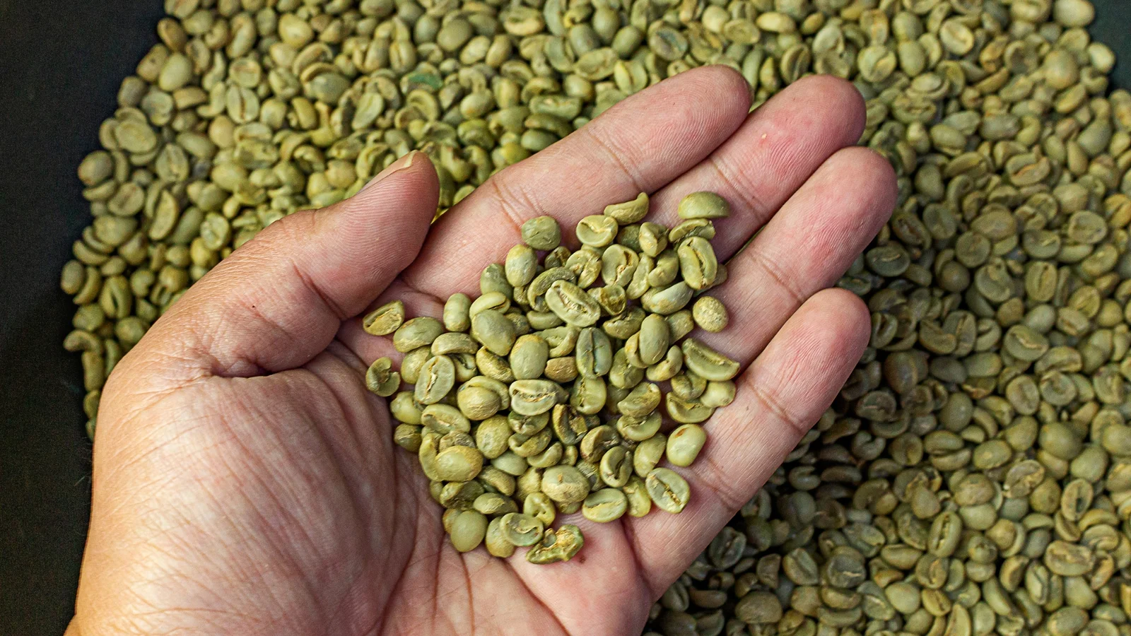 Green Coffee Beans