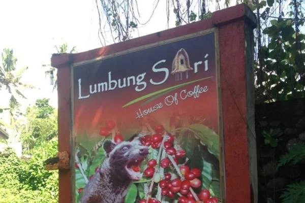 Lumbung Sari House Of Luwak Coffee