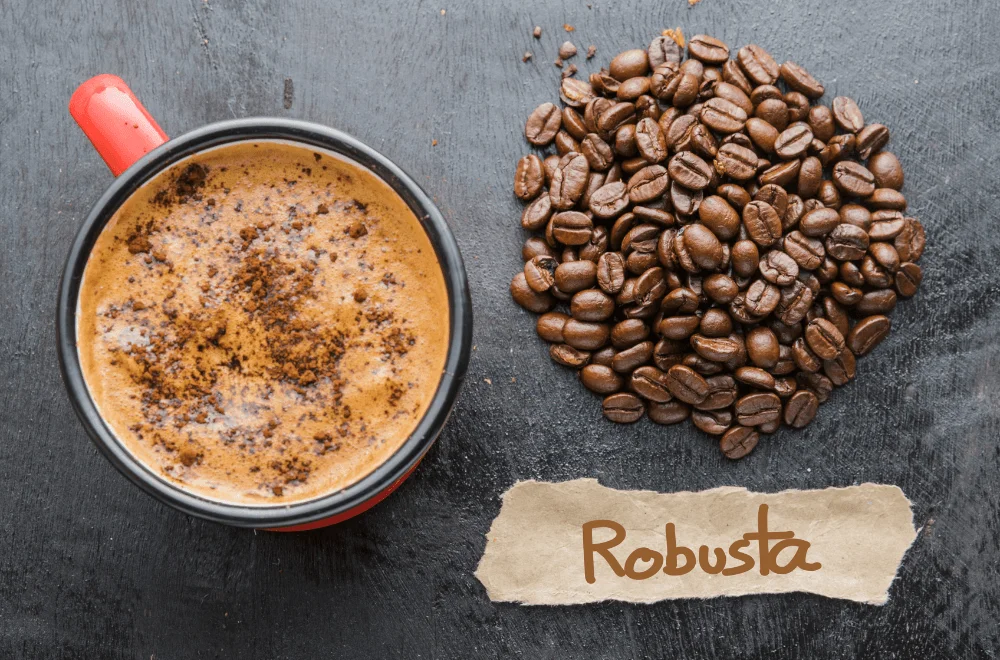 Café Robusta