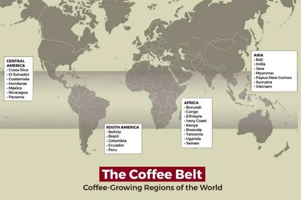 The Coffee Belt in The World