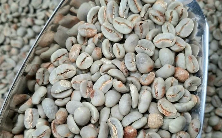 Coffee Bean Varieties