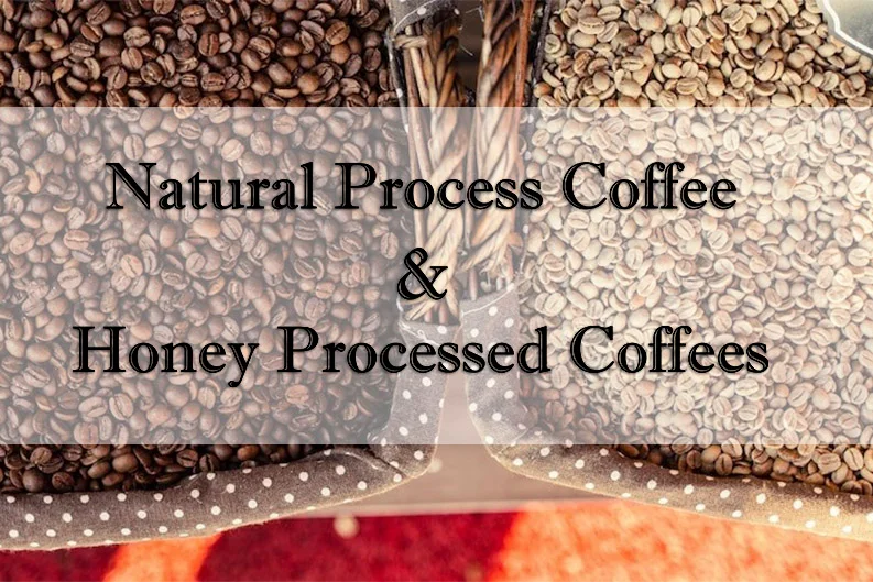 natural processed coffee